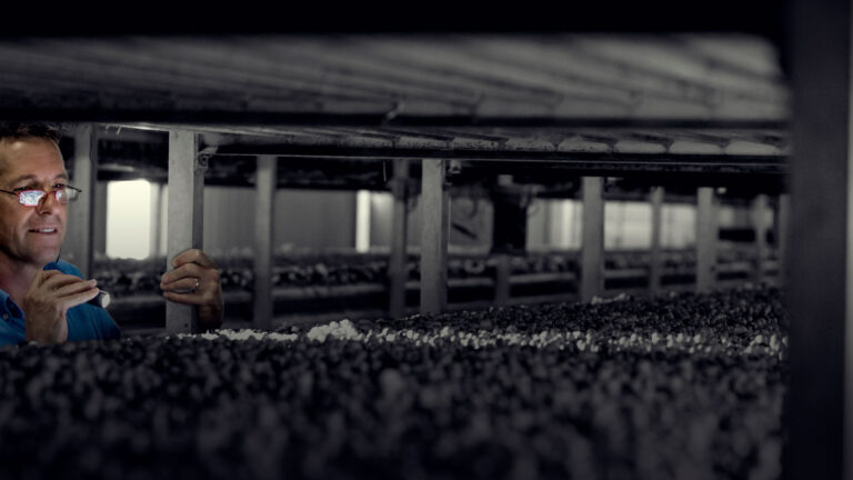 heading_substraten
