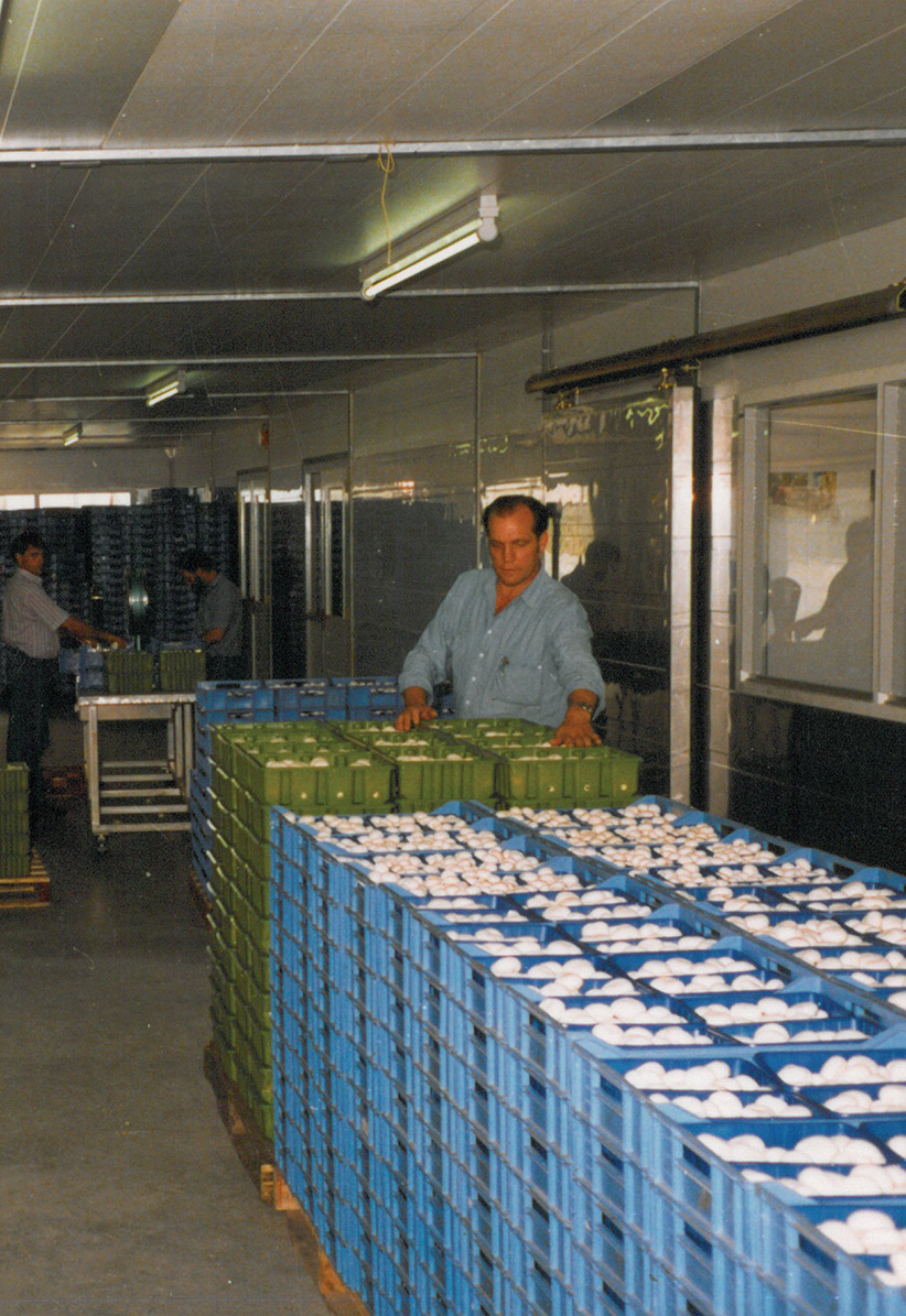 hooymans-compost-1989-2