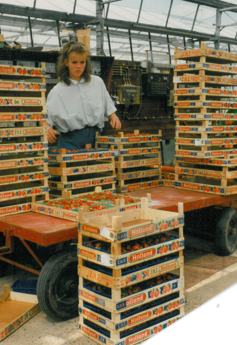 hooymans-compost-1995-1