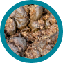 mushrooms_list_img2