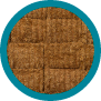 mushrooms_list_img3